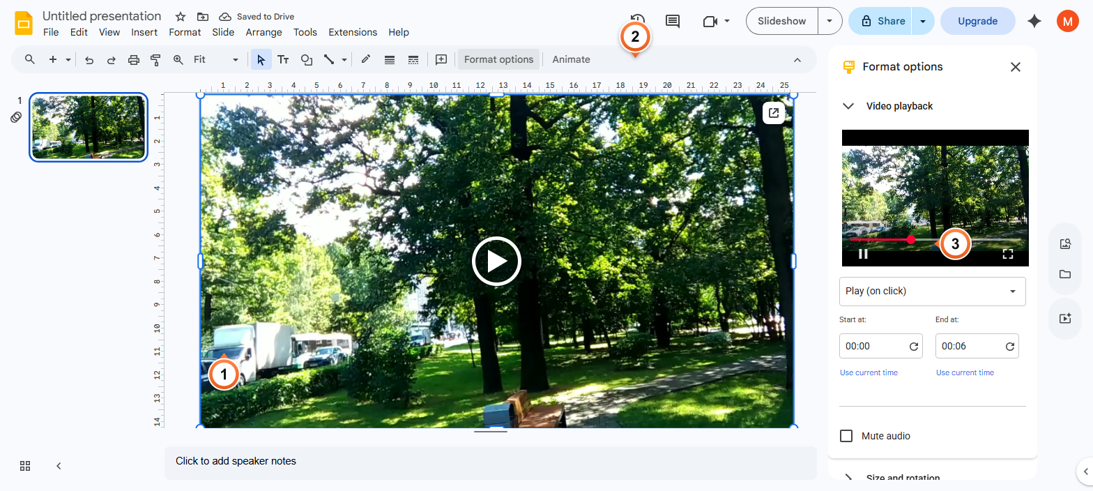 How to adjust video playback options?